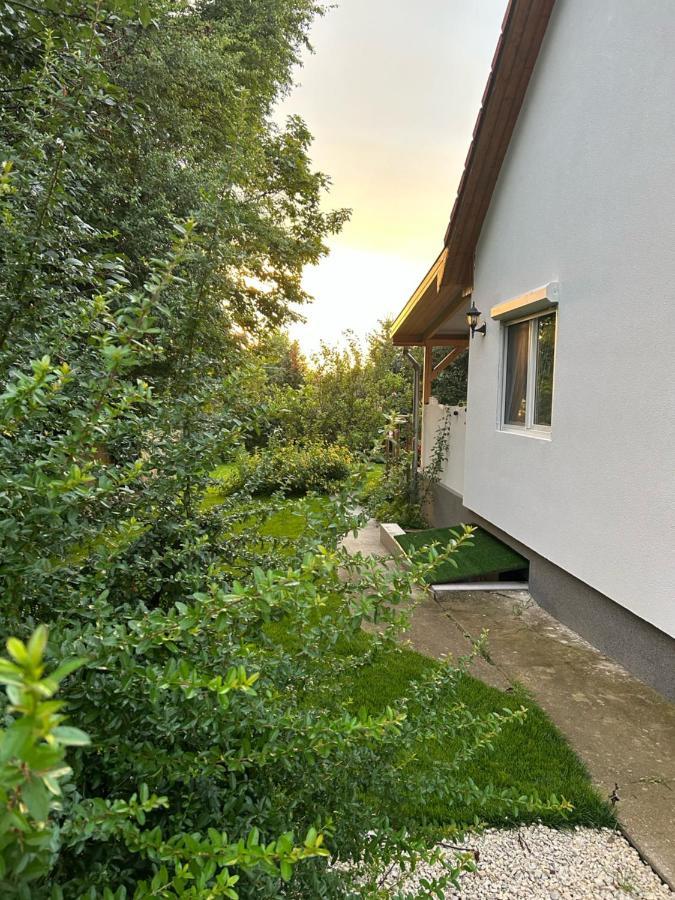 Kisvirag Vendeghaz Villa Balatonvilágos Buitenkant foto